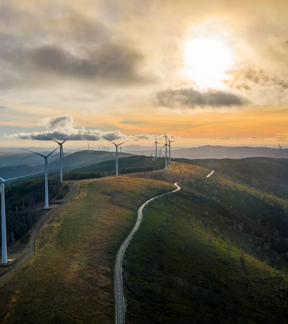 windmills