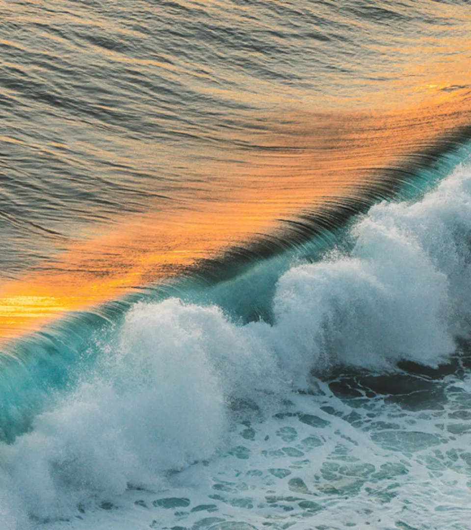 wave