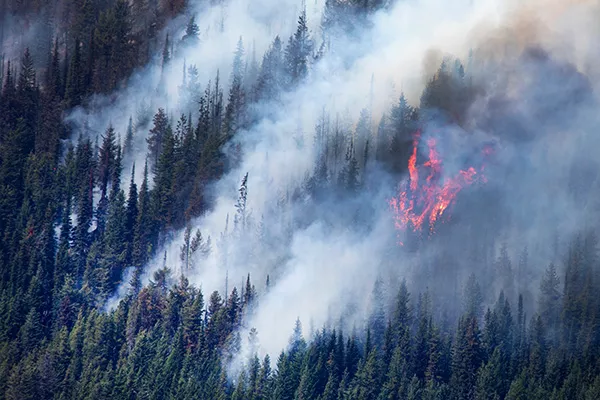 Wildfire in Fernie, Canada, 2023