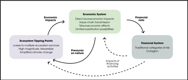 Climate tipping points - fig 3