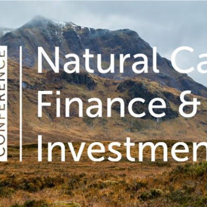 Natura; capital finance and investment logo