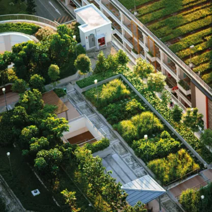 Bird's eye view of green roof city scape