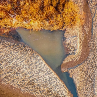 Aerial image of sandy riverbank and autumn trees in orange and neutral colours.