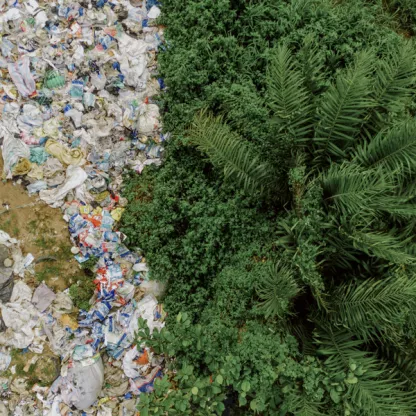Plastics Treaty hero