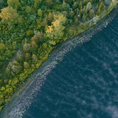 Engagement Review 2024-25 hero Diagonal line of lush green forest next to blue and lilac sea