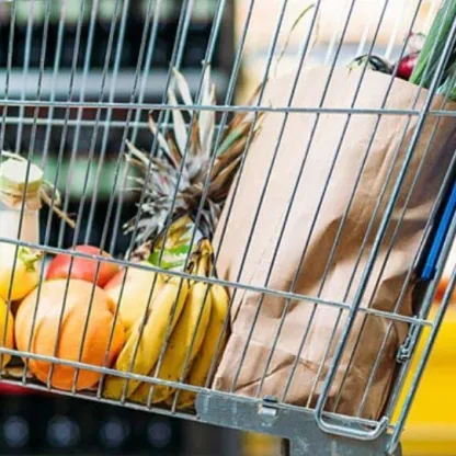 10 year food plan - UK trolley 