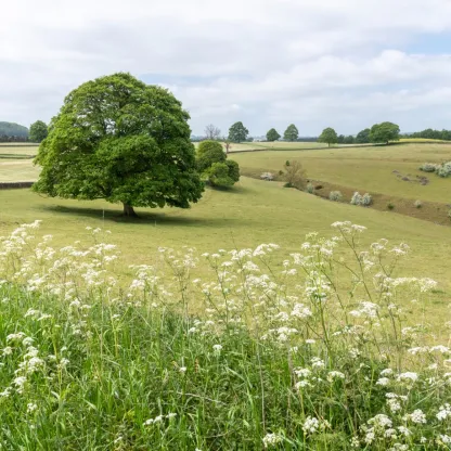 Nature UK
