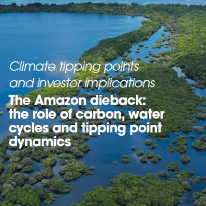 The Amazon dieback 