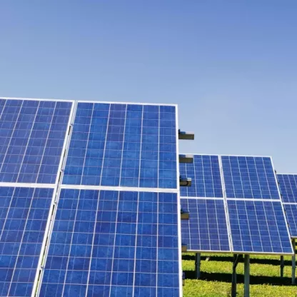 solar-farm-website_diane-hayman.jpg